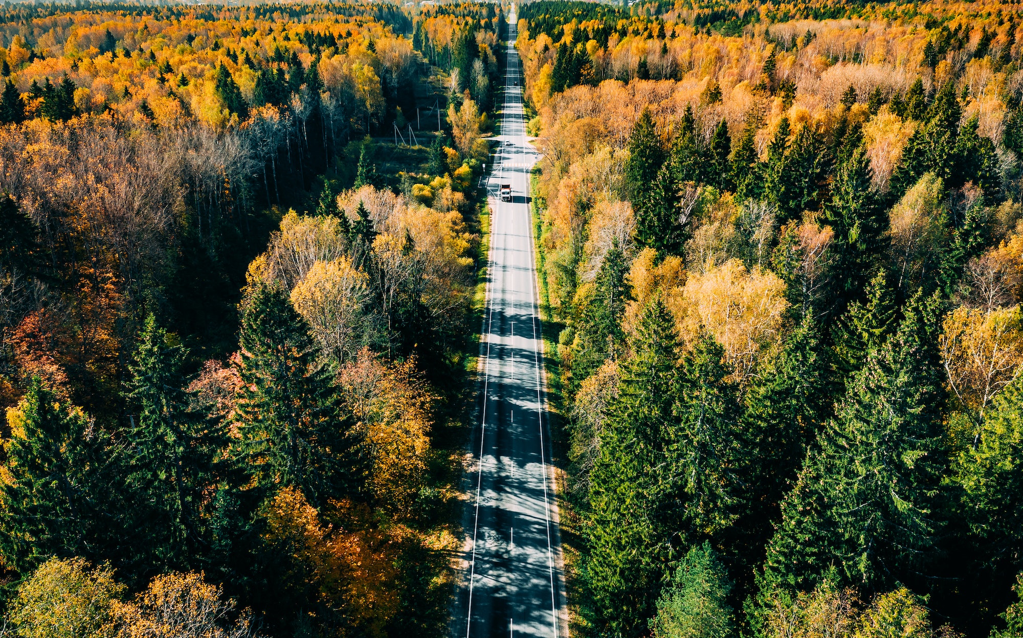 Aerial view of fall road and car through the autumn forest