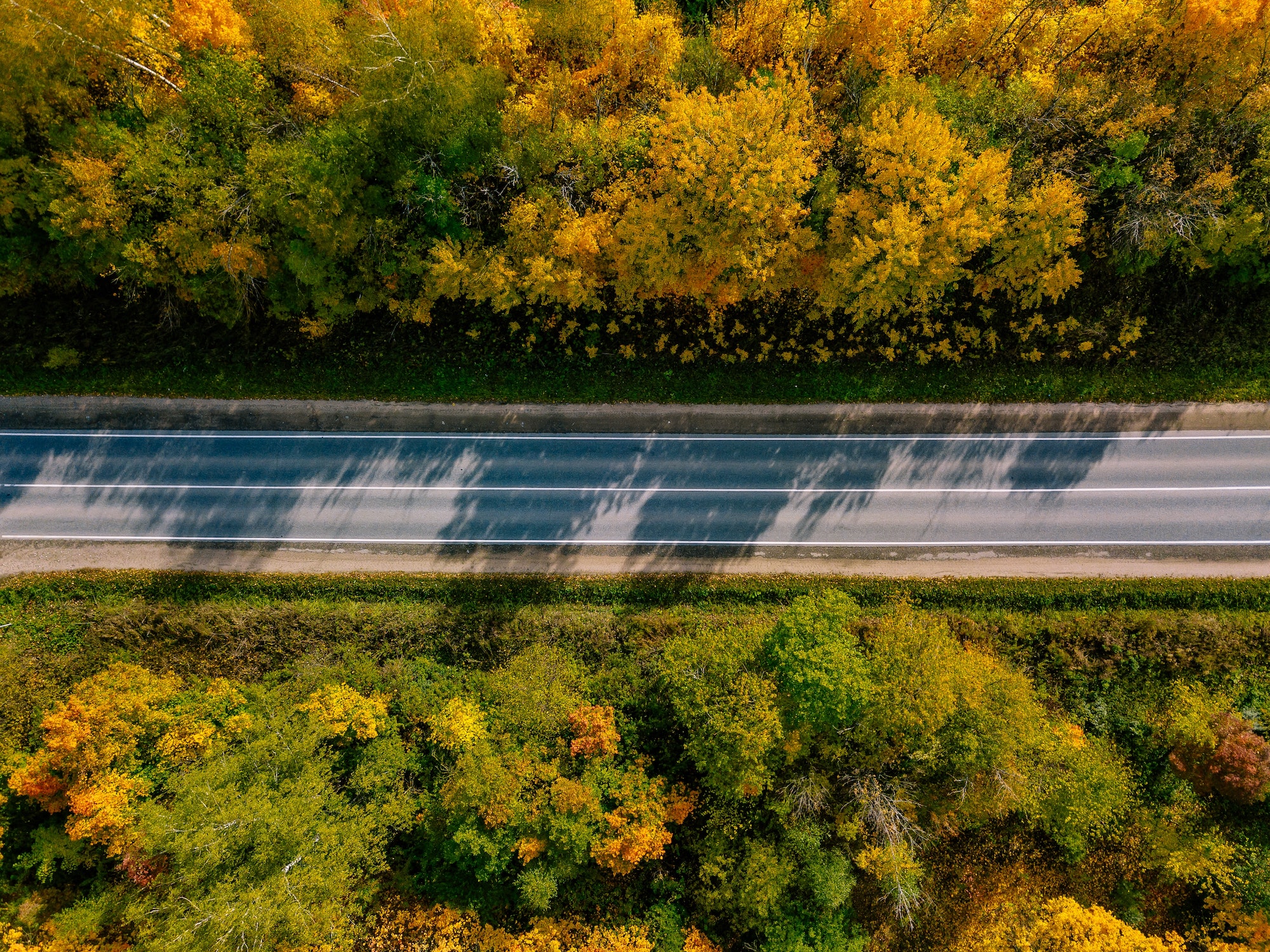 Aerial view of road in autumn forest. Beautiful landscape with rural road, trees